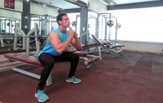 Body Weight Bench Squat