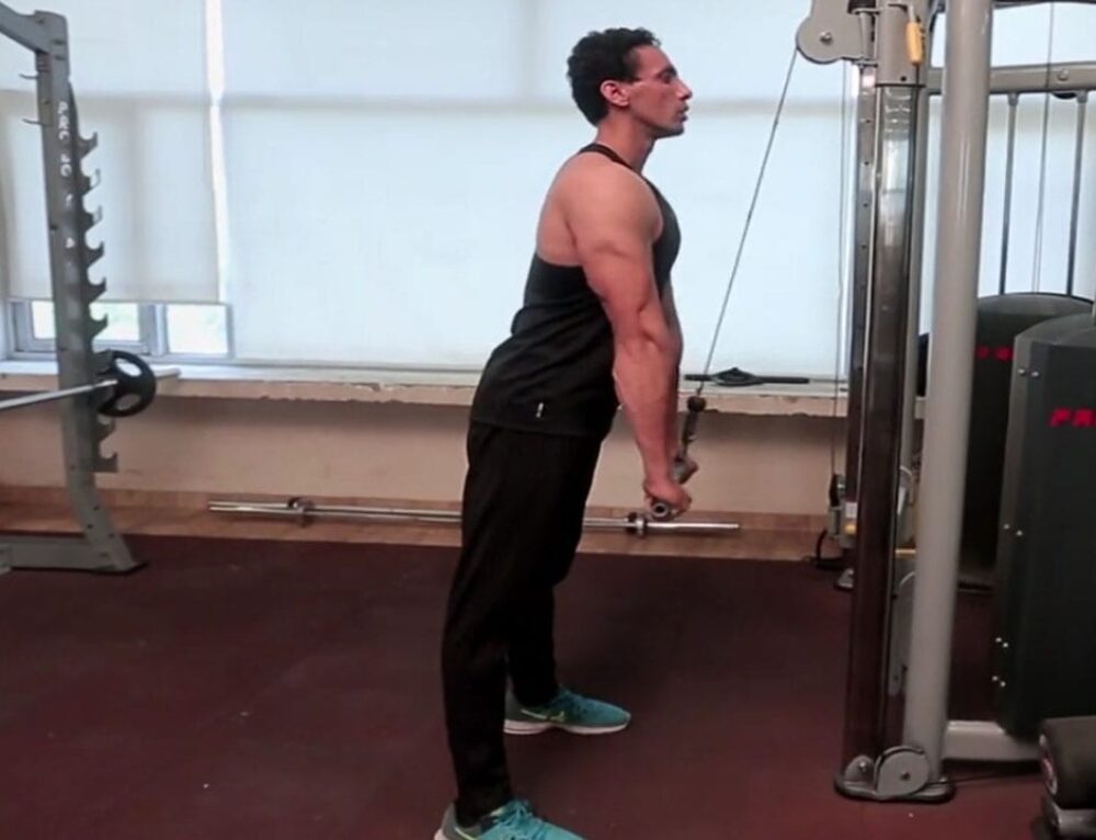 Seated EzBar Overhead Triceps Extension Exercise Guide