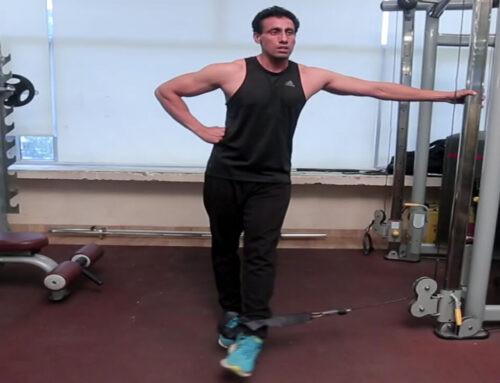 Standing Cable Hip Adduction